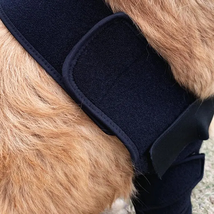 Ankle Support Pet Wrist Support for Little Dogs