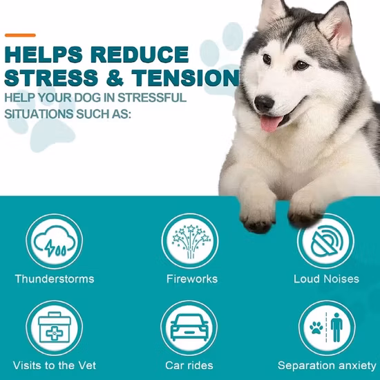 Ankle Support Pet Wrist Support for Little Dogs