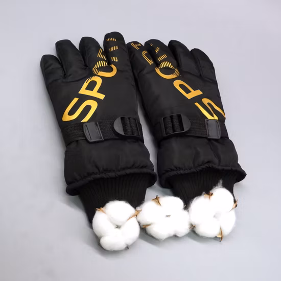 Women′s Purple Ski Warm Gloves Outdoor Sports Protective Thick Gloves